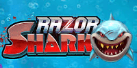 Razor Shark